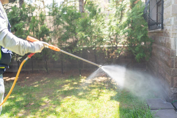 Best Cockroach Control Services  in Ckam Housing, HI