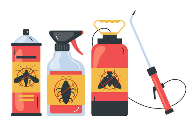 Best Ant Control Services  in Ckam Housing, HI