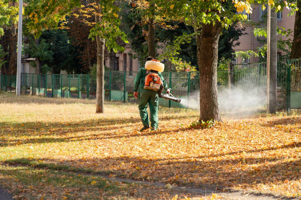 Best Residential Pest Control  in Ckam Housing, HI